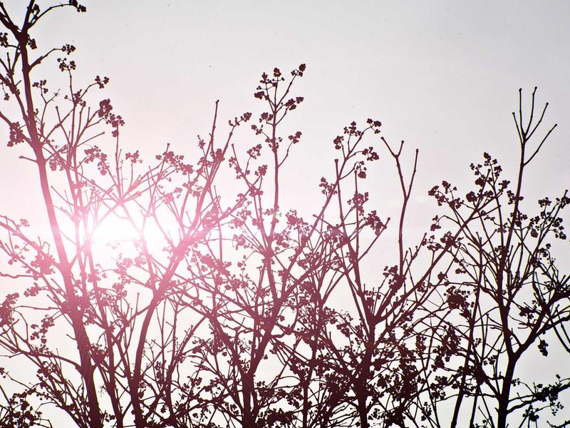 sudoku kids version screenshot 3